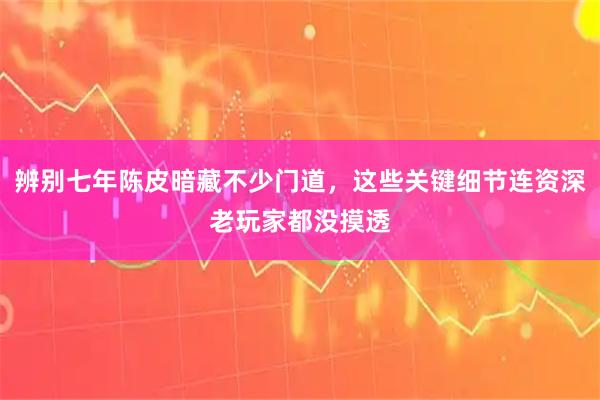 辨别七年陈皮暗藏不少门道，这些关键细节连资深老玩家都没摸透