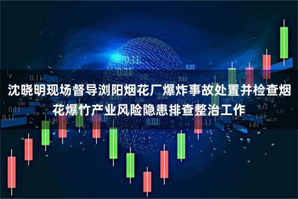沈晓明现场督导浏阳烟花厂爆炸事故处置并检查烟花爆竹产业风险隐患排查整治工作